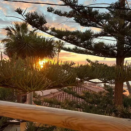 Araucaria House *